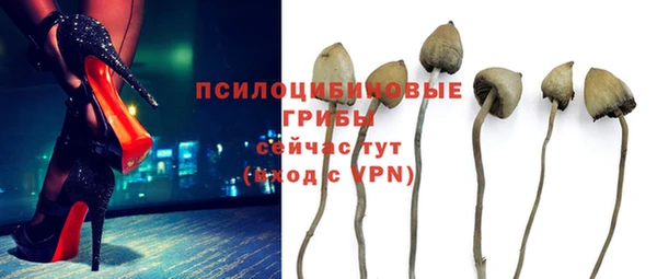 винт Нея