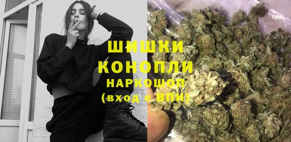 спиды Новозыбков