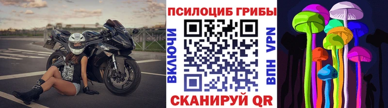 Купить где  Кировград  Галлюциногенные грибы прущие грибы 